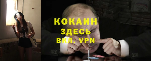 гашик Белоозёрский