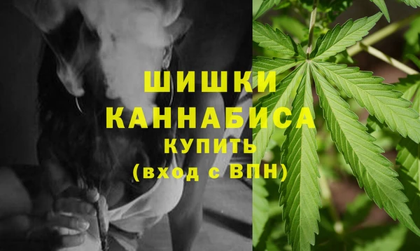 соль ск Пестово
