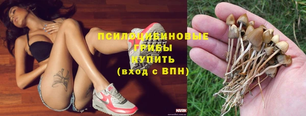 ешки Белокуриха