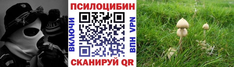 Псилоцибиновые грибы прущие грибы  Купить закладки  Пойковский 